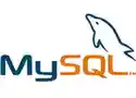 mobile logo 24